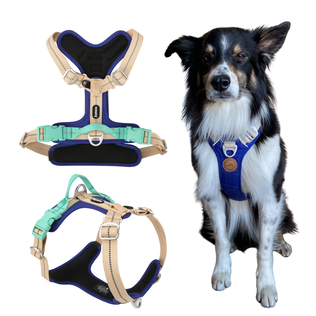 Nomadog Pawradise No Pull Harness