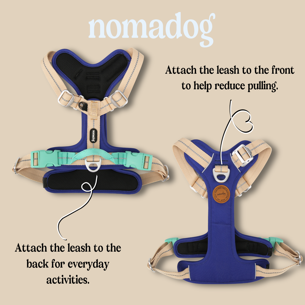Nomadog Pawradise No Pull Harness