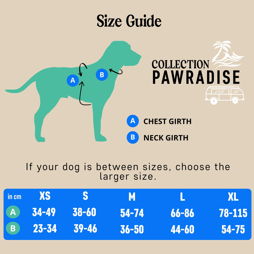 Nomadog Pawradise No Pull Harness